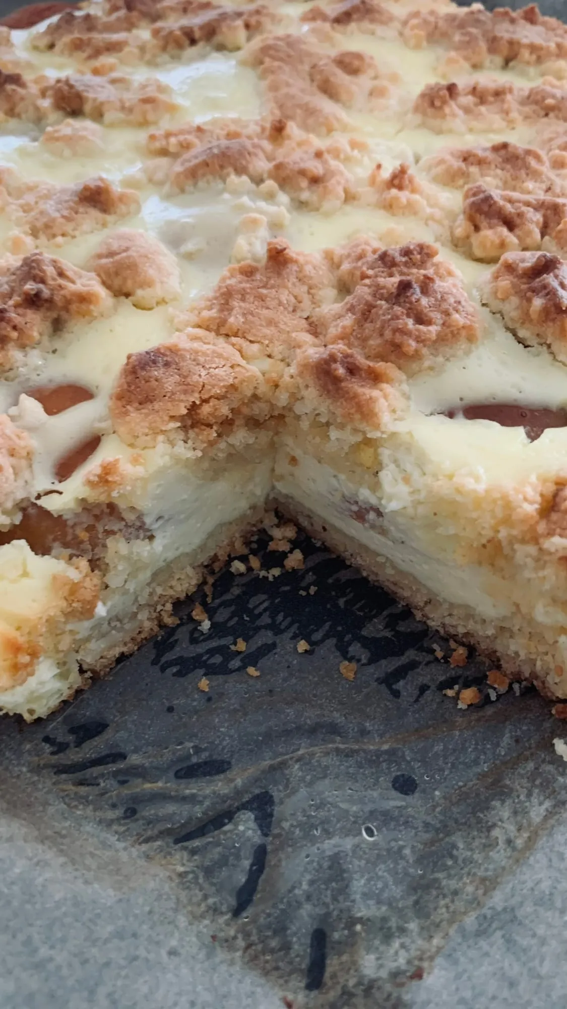 Marillen Topfen Streuselkuchen