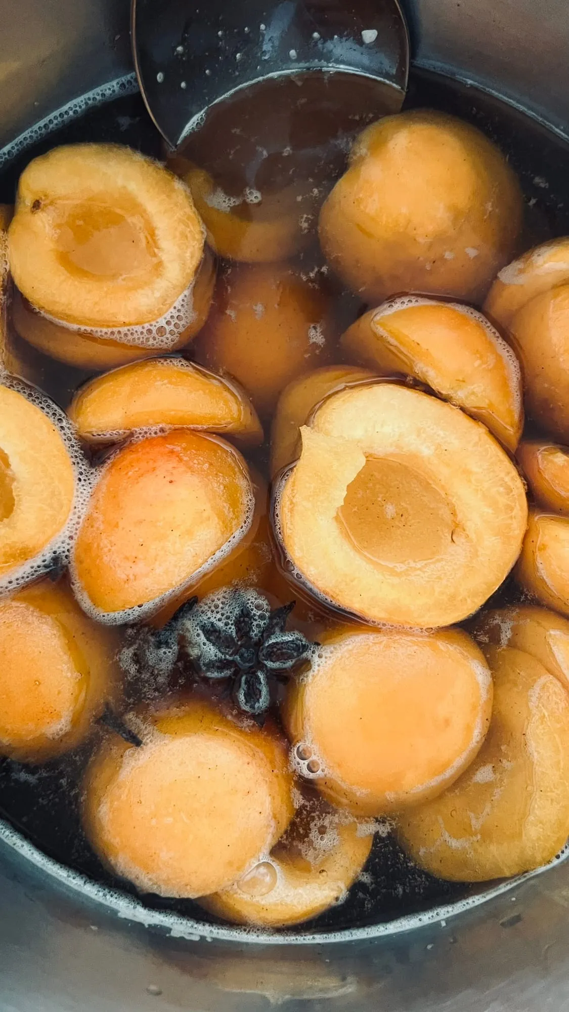 Marillenkompott