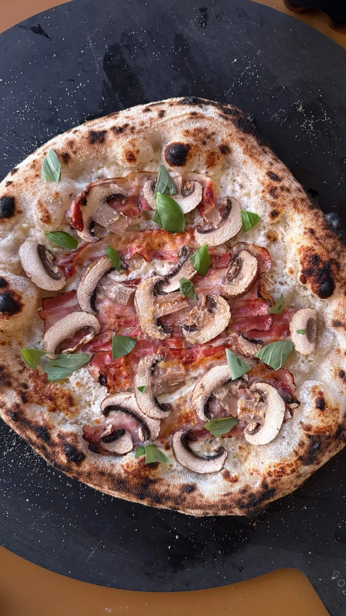 Pizza Bianca mit Pilzen und Speck
