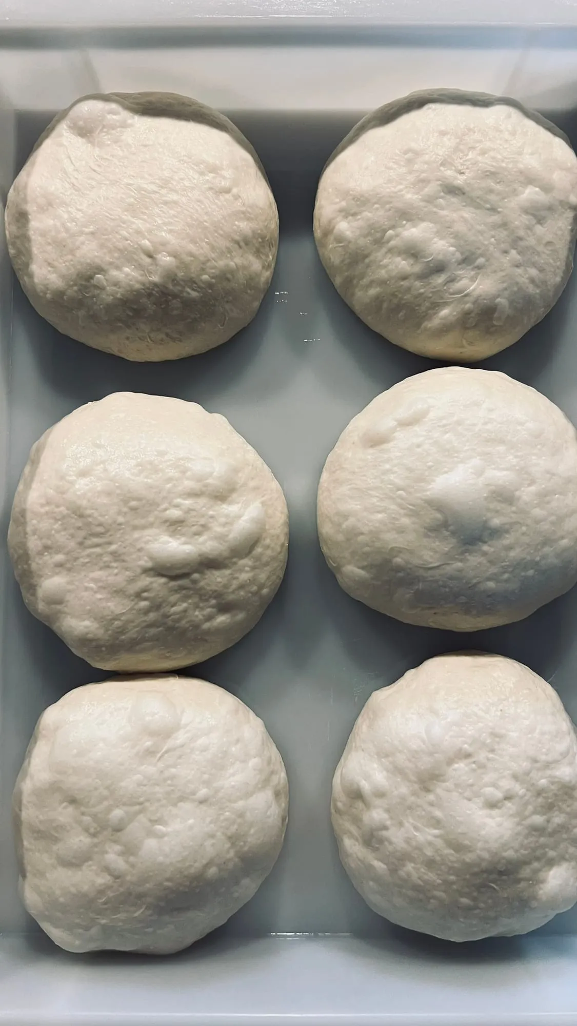 Pizzateig