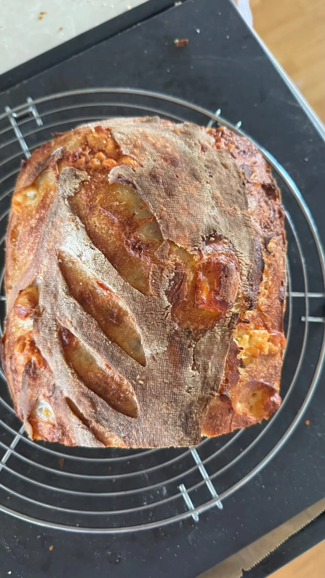 Sauerteigbrot mit Cheddar Cheese – Foto 4 von 6