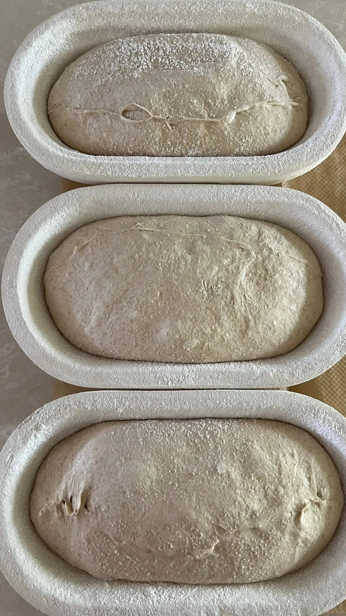 Sauerteigbrot – Foto 2 von 10