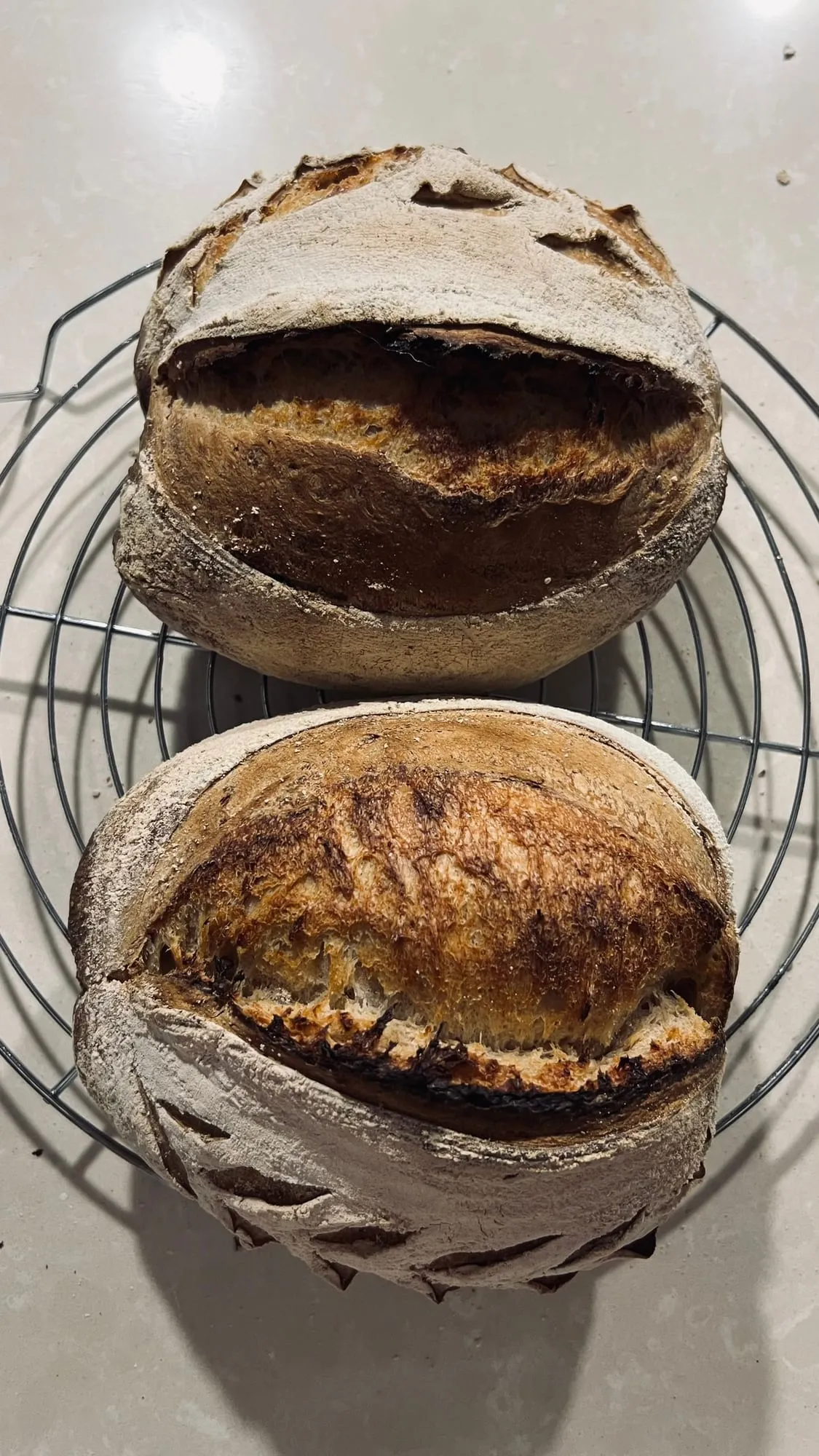 Sauerteigbrot – Foto 3 von 10