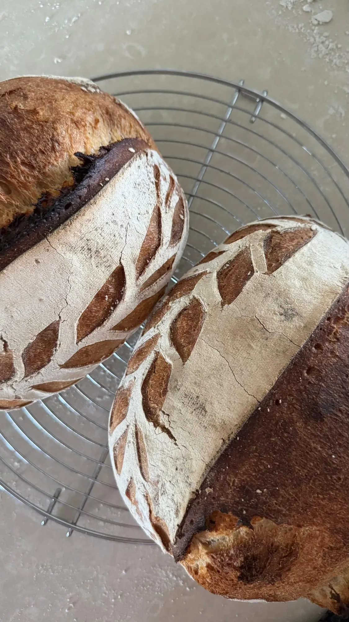 Sauerteigbrot – Foto 8 von 10