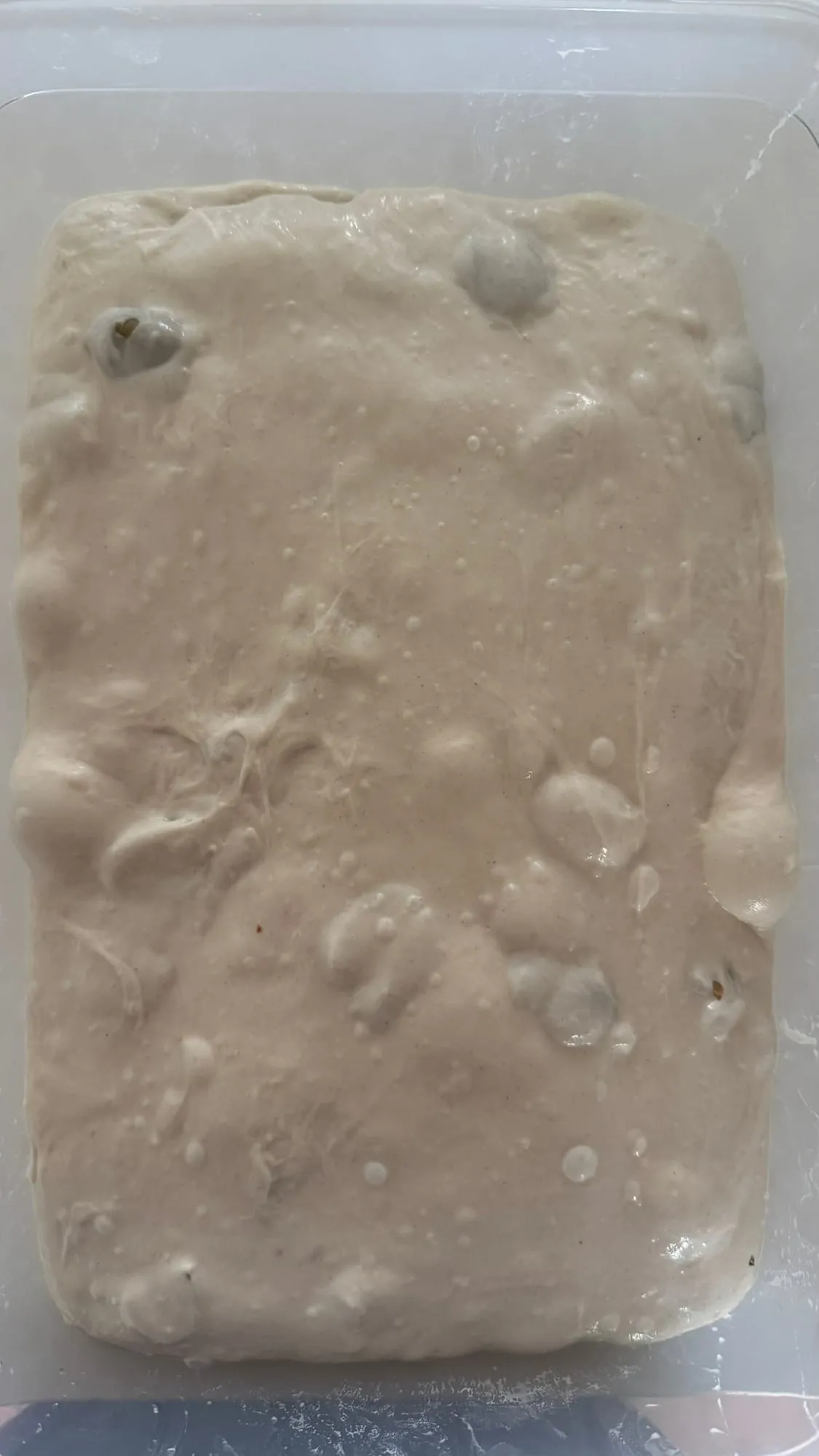 Sauerteigbrot – Foto 10 von 10